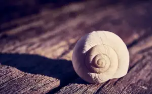 Parkoviště Letiště Comfort